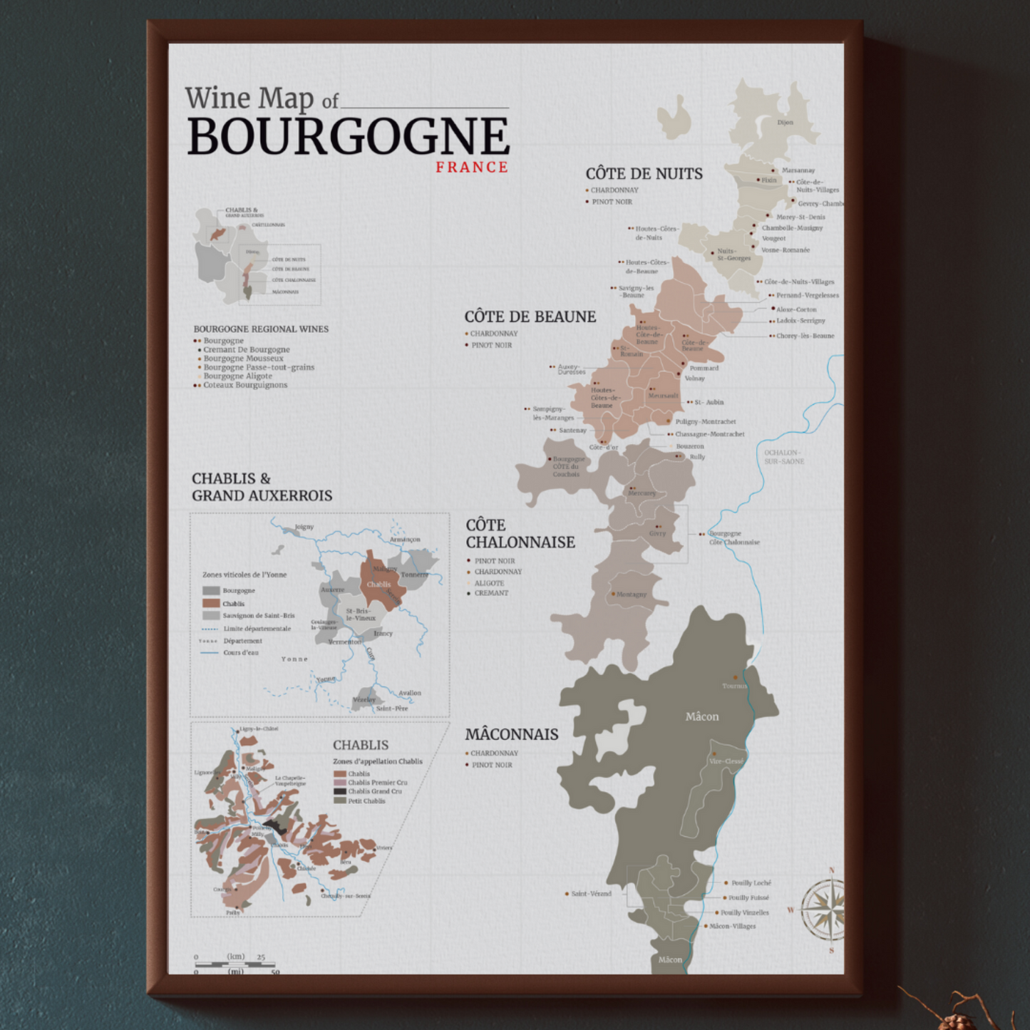 Wine Map of Burgundy Poster